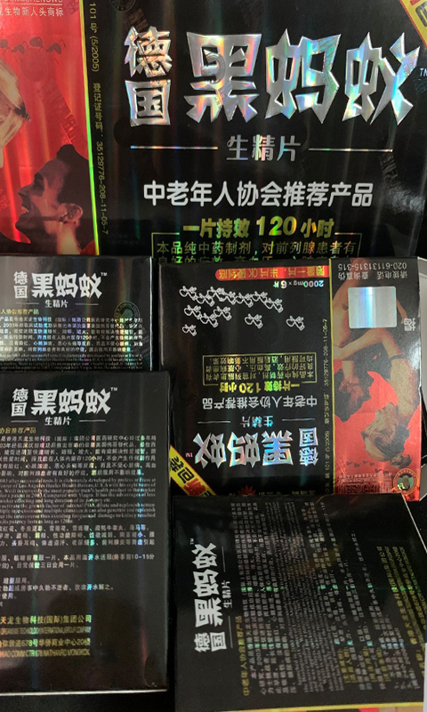 德國黑螞蟻台灣